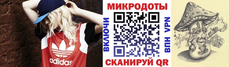 Галлюциногенные грибы Psilocybine cubensis  мега вход  даркнет какой сайт  Щёкино 